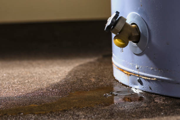 Best Carpet water damage restoration  in Antelope, CA