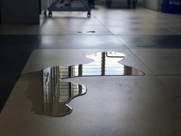 Best 24-hour water damage restoration  in Antelope, CA