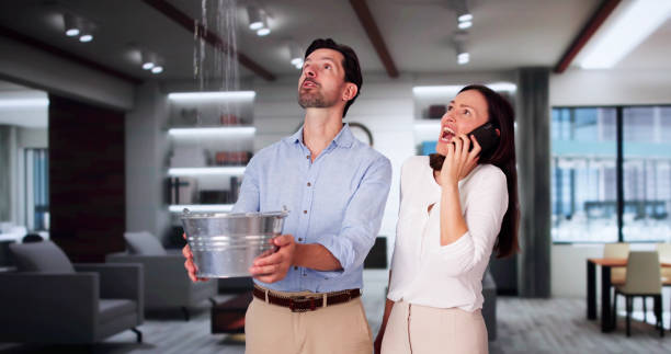 Best Ceiling water damage repair  in Antelope, CA